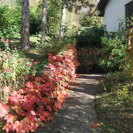 Nanin Holiday home *