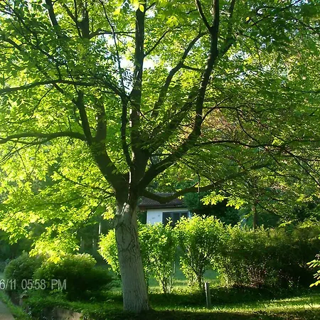 Nanin Holiday home *