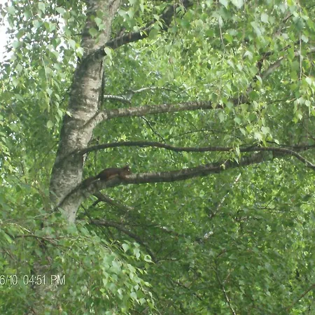Nanin Vrdnik