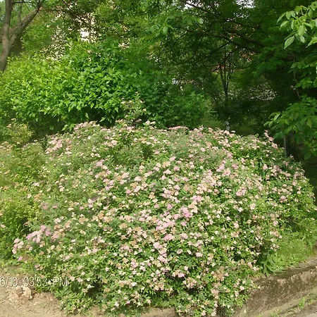 Holiday home Nanin Vrdnik